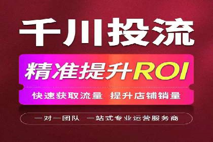 竞价排名在品牌推广中的经典案例